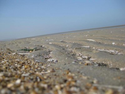 Holiday park Villa in Zeeland near Dunes - Environment photo 29