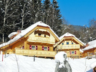 Chalet Chalet in Wildkogel near Ski Slopes & Pool - Outdoor photo 11