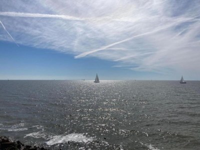 Holiday park Lodge by Markermeer with Eco-Friendly Comfort - Environment photo 9