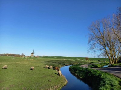 Holiday park Lodge by Markermeer with Eco-Friendly Comfort - Environment photo 20