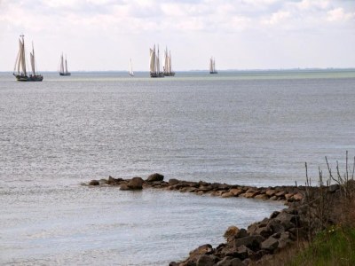 Holiday park Lodge by Markermeer with Eco-Friendly Comfort - Environment photo 26