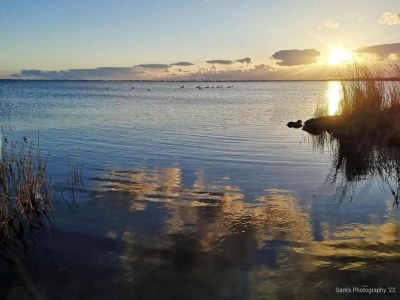 Holiday park Lodge by Markermeer with Eco-Friendly Comfort - Environment photo 28