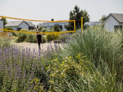 Holiday park Dünenvilla in den Niederlanden am Meer - Outdoor photo 5