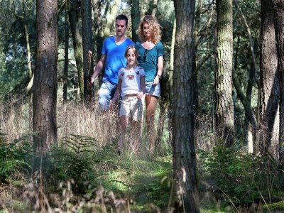 Holiday park Villa bei Klein Vink mit Thermalbadzugang - Outdoor photo 28