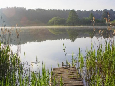 Holiday house Doppelhaushälfte Seestern, Lohmen - Environment photo 24