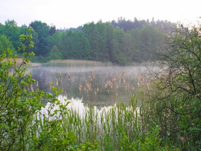 Holiday house Doppelhaushälfte Seestern, Lohmen - Environment photo 25