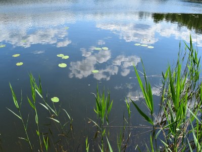 Holiday house Doppelhaushälfte Seestern, Lohmen - Environment photo 27