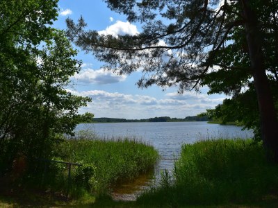 Holiday house Doppelhaushälfte Seestern, Lohmen - Environment photo 28