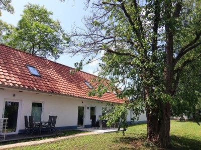 Holiday house Doppelhaushälfte Seestern, Lohmen - Environment photo 32