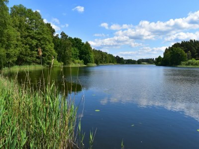 Holiday house Doppelhaushälfte Seestern, Lohmen - Environment photo 34
