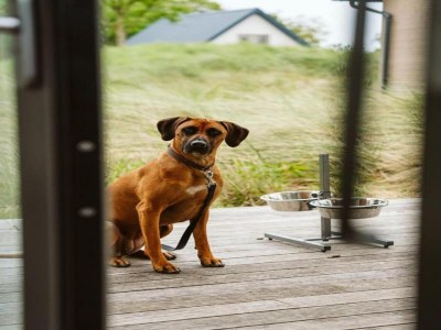 Holiday park Apartment in Dutch Countryside Bliss - Environment photo 12