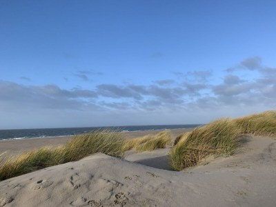 Holiday park Apartment in Dutch Countryside Bliss - Environment photo 13