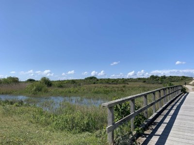 Holiday park Apartment in Dutch Countryside Bliss - Environment photo 22