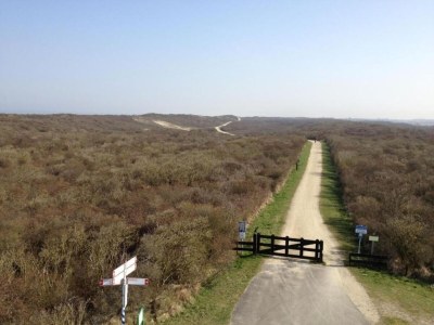 Holiday park Apartment in Dutch Countryside Bliss - Environment photo 26