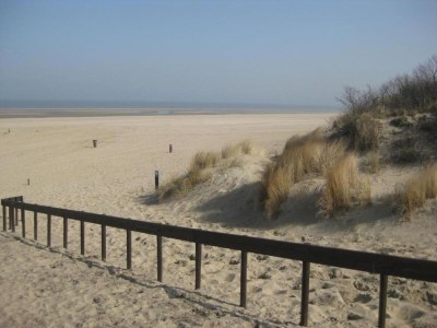 Holiday park Apartment in Dutch Countryside Bliss - Environment photo 29