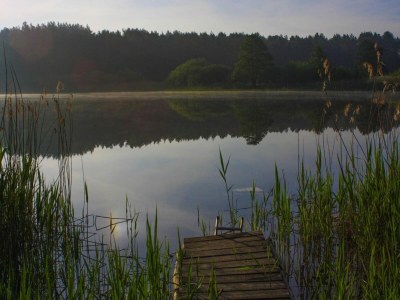 Holiday house Haus am Gardersee mit Garten - Environment photo 22