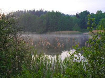 Holiday house Haus am Gardersee mit Garten - Environment photo 26