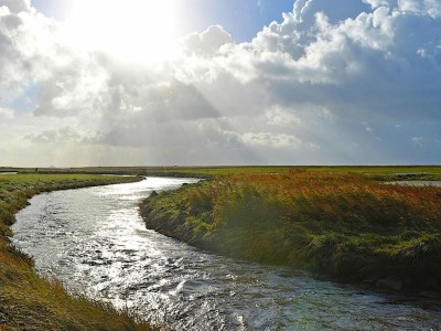 Holiday house Ferienwohnung in Oevenum auf Föhr - Outdoor photo 13