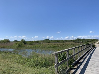 Holiday park Gemütliche Dünenvilla am Meer - Environment photo 14