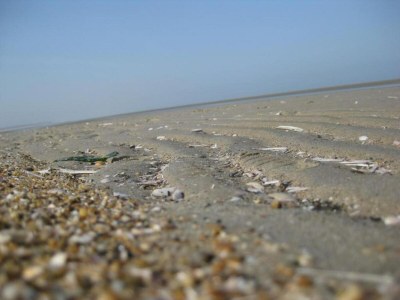 Holiday park Gemütliche Dünenvilla am Meer - Environment photo 43