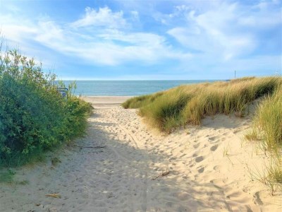 Holiday park Villa in Banjaard near Sandy North Sea Beach - Environment photo 20