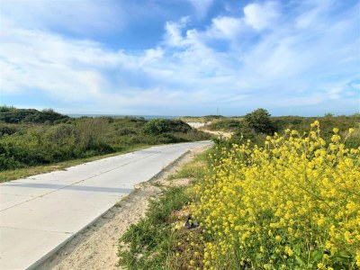 Holiday park Villa in Banjaard near Sandy North Sea Beach - Environment photo 29