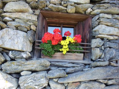 Alpine hut Feldlhütte - Environment photo 26
