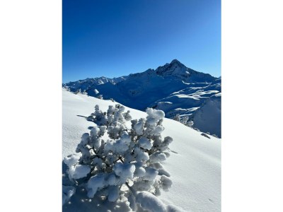 Alpine hut Feldlhütte - Environment photo 36