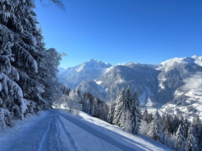 Alpine hut Feldlhütte - Environment photo 39