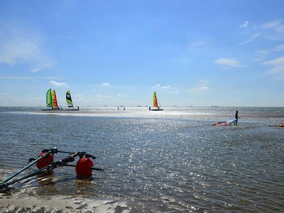 Apartment Ferienwohnung in Wyk auf Foehr - Outdoor photo 13