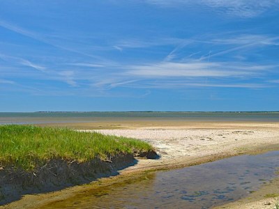 Apartment Ferienwohnung in Wyk auf Foehr - Outdoor photo 15