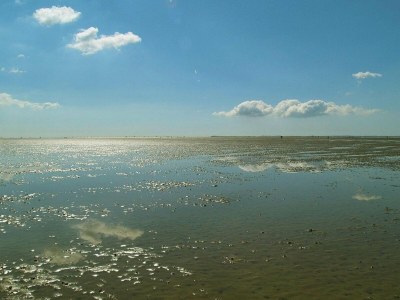 Apartment Ferienwohnung in Wyk auf Foehr - Outdoor photo 19