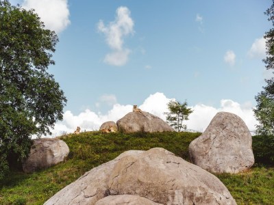 Holiday park Charmante Villa am Wasser - Environment photo 19