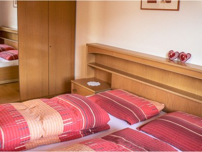 Farmhouse Holiday apartment "Talblick" - Maiernhof Farm - Features photo 9