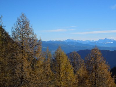 Farmhouse Holiday apartment "Talblick" - Maiernhof Farm - Environment photo 11
