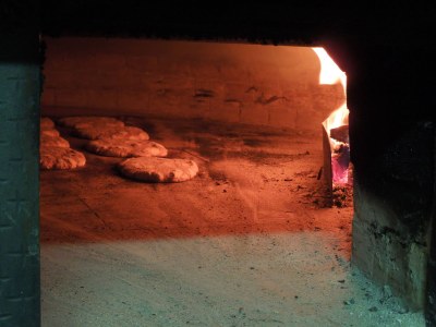 Farmhouse Holiday apartment "Talblick" - Maiernhof Farm - Environment photo 14