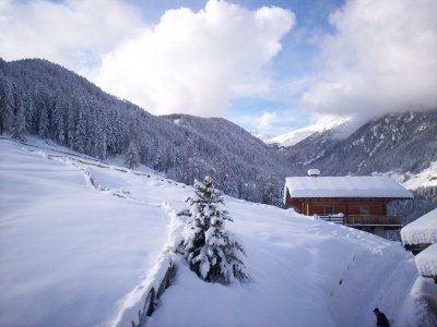 Farmhouse Holiday apartment "Talblick" - Maiernhof Farm - Environment photo 16