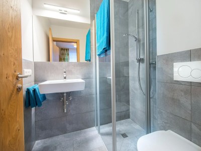 Holiday park Wohnung in Neukirchen bei Wildkogelbahn - Features photo 11