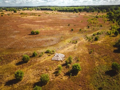 Holiday park Peaceful Stay in Drenthe - Environment photo 13