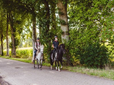 Holiday park Peaceful Stay in Drenthe - Environment photo 18