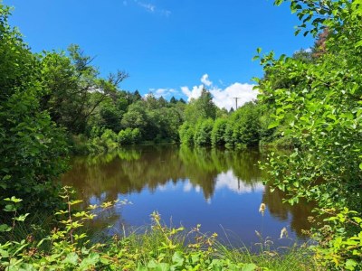 Holiday park Gemütliches Ferienhaus in Roussines, Dordogne - Environment photo 28