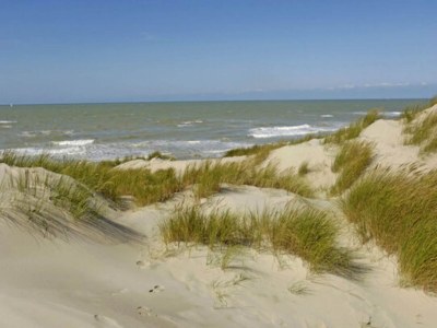 Apartment Studio, Wyk auf Föhr - Environment photo 13