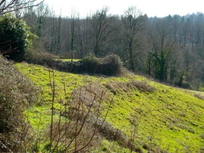 Holiday park Cottage in France with Private Terrace - Environment photo 26