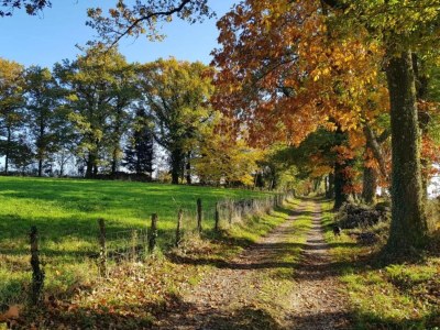 Holiday park Cottage in France with Private Terrace - Environment photo 27