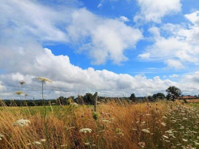 Holiday park Cottage in France with Private Terrace - Environment photo 29