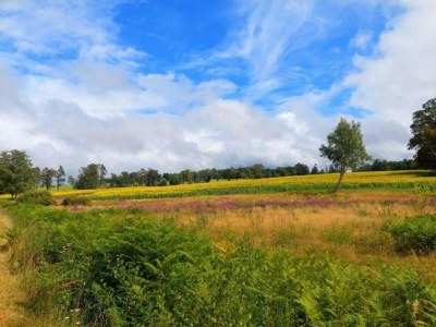 Holiday park Cottage in France with Private Terrace - Environment photo 33