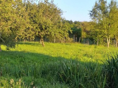 Holiday park Cottage in France with Private Terrace - Environment photo 35