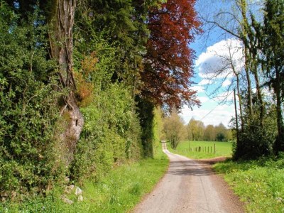 Holiday park Cottage in France with Private Terrace - Environment photo 38