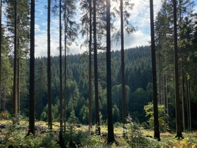 Holiday park Balcony Views in Winterberg - Environment photo 15