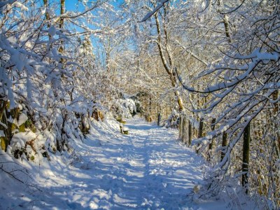 Holiday park Balcony Views in Winterberg - Environment photo 17